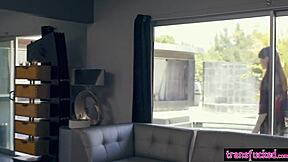 hot big ass teen gabi paltrova takes hardcore blowjob and sex from horny big cock shemale natalie mars in wild oral action