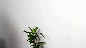 Dialogic-Provocative Latina secretary seduces young trainee in office. Fuck me hard to save my job? Kylei Ellish and Danyel Mast ride cowgirl.