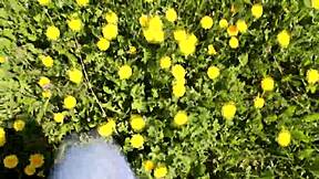 Skinny Stranger Sucks Cock Swallows Cum Outdoor!