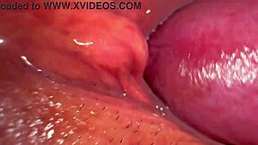 Amateur Japanese Wife's Shaved Pussy 347 Days Post-Virginity Loss Up Close