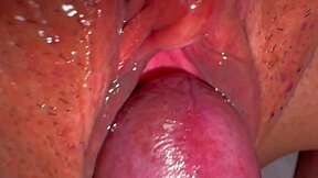 Amateur Japanese Wife's Shaved Pussy 347 Days Post-Virginity Loss Up Close