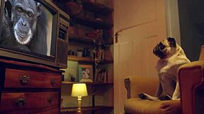 Italian Blonde Deepthroats Till Pussy Pulses Wild