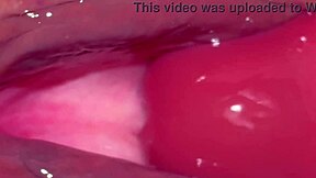 Amateur Japanese wife 343 days post virginity licks dildo closeup